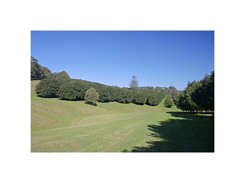332 Picadilly Hill Road, Coopers Shoot NSW 2479
