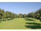 332 Picadilly Hill Road, Coopers Shoot NSW 2479