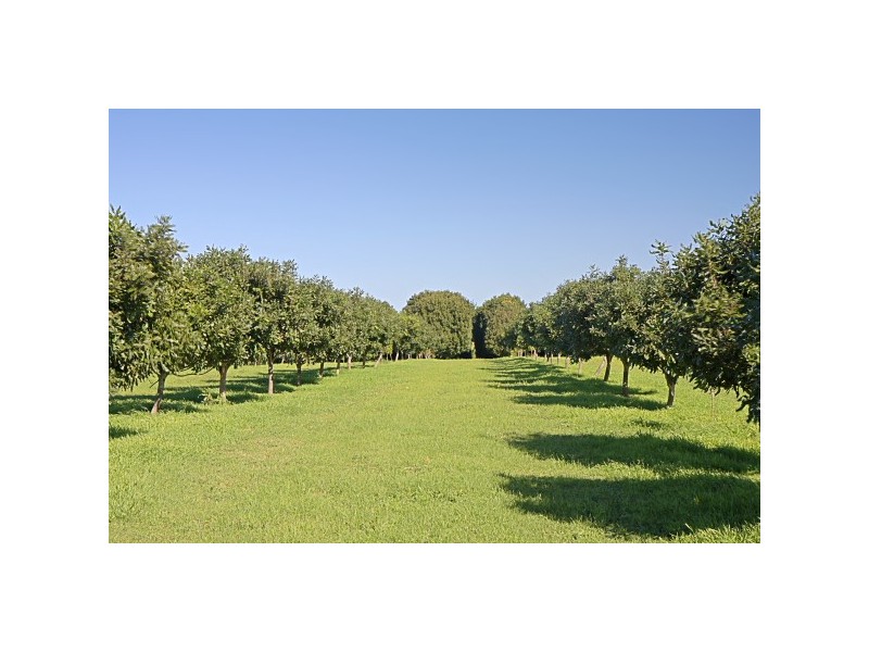 332 Picadilly Hill Road, Coopers Shoot NSW 2479