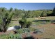 332 Picadilly Hill Road, Coopers Shoot NSW 2479