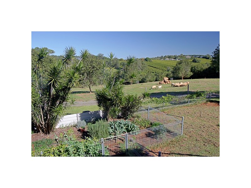 332 Picadilly Hill Road, Coopers Shoot NSW 2479