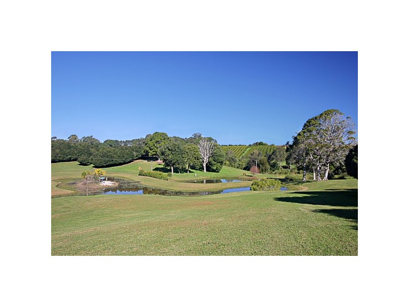 332 Picadilly Hill Road, Coopers Shoot NSW 2479