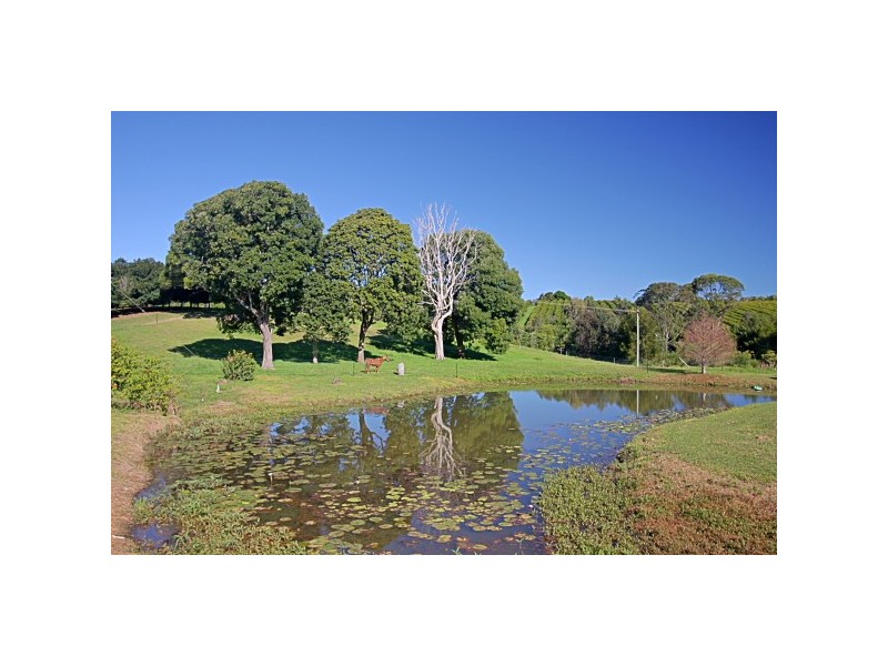 332 Picadilly Hill Road, Coopers Shoot NSW 2479