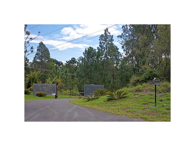 286 Skinners Shoot Road, Skinners Shoot NSW 2481