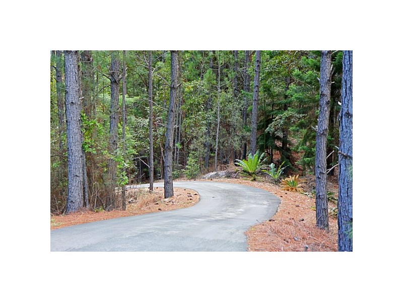 286 Skinners Shoot Road, Skinners Shoot NSW 2481