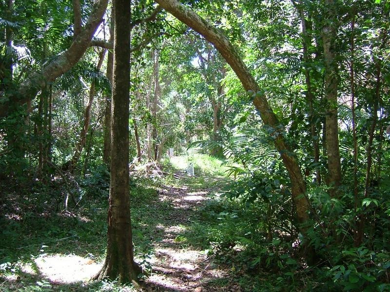 2 Palm Place, Byron Bay NSW 2481