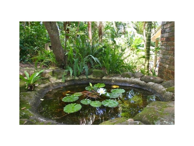 1150 Friday Hut Road, Binna Burra NSW 2479