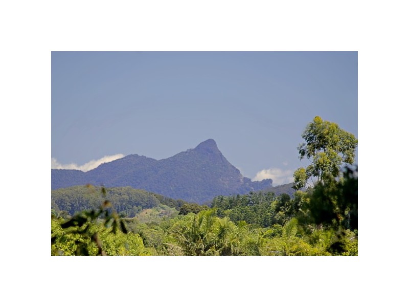 26 Left Bank Road, Mullumbimby NSW 2482