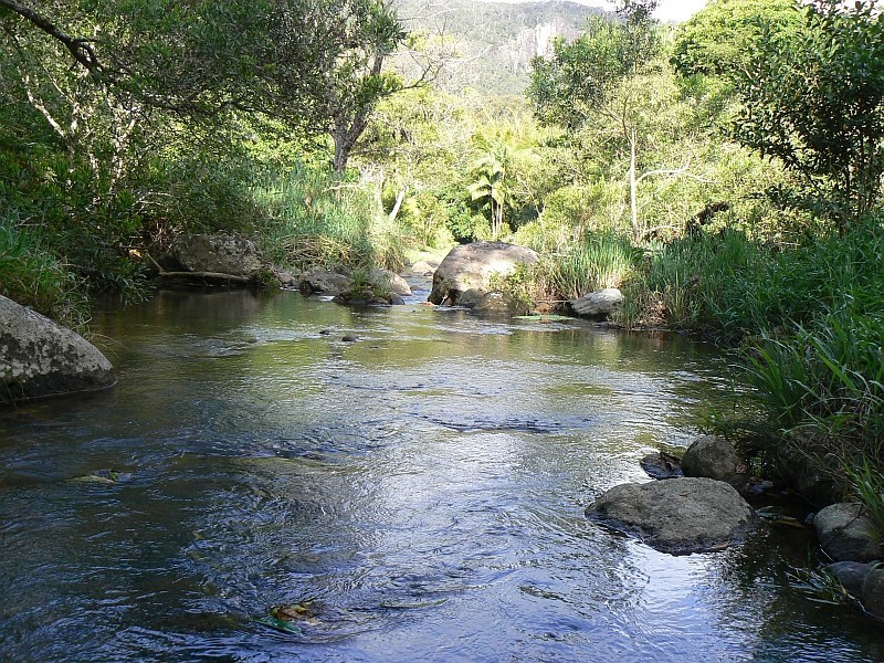 443 Upper Wilson Creek, Wilsons Creek NSW 2482