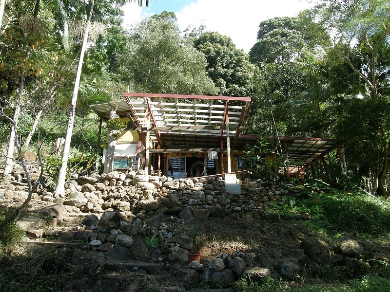 443 Upper Wilson Creek, Wilsons Creek NSW 2482