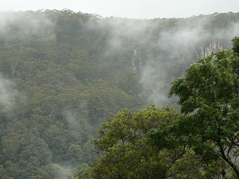 443 Upper Wilson Creek, Wilsons Creek NSW 2482