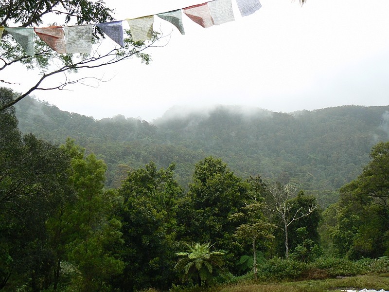 443 Upper Wilson Creek, Wilsons Creek NSW 2482