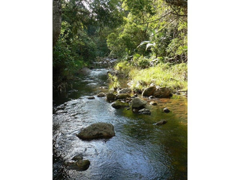 443 Upper Wilson Creek, Wilsons Creek NSW 2482