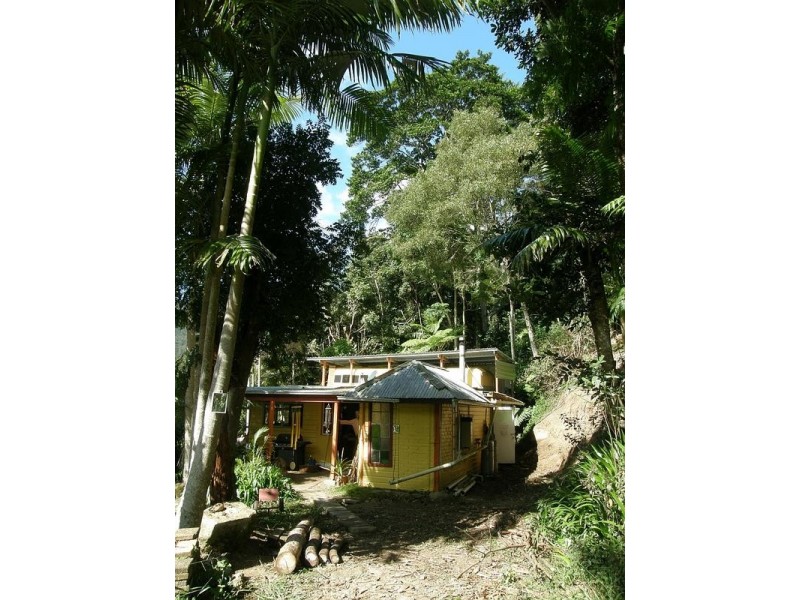 443 Upper Wilson Creek, Wilsons Creek NSW 2482