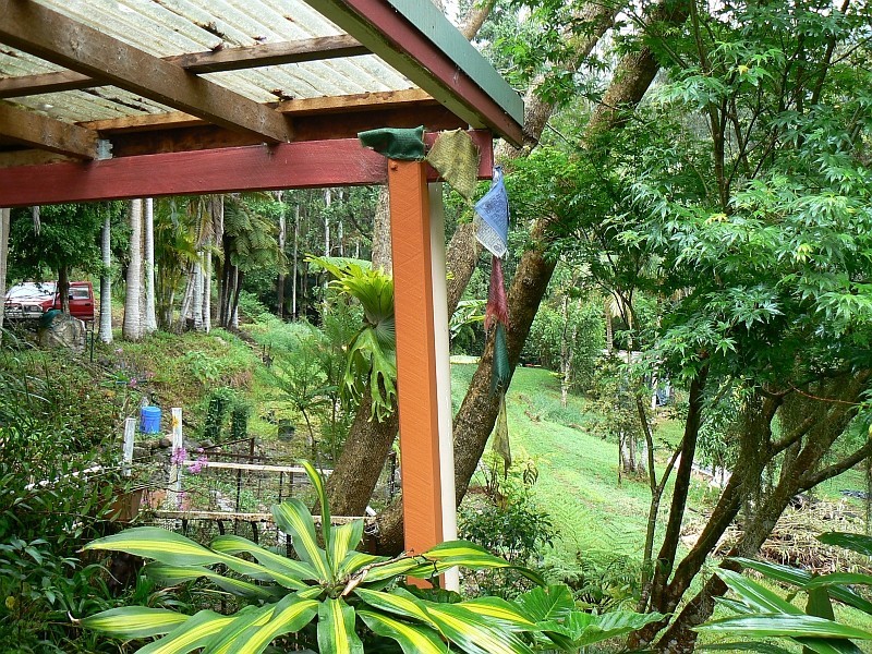 443 Upper Wilson Creek, Wilsons Creek NSW 2482