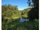 1 Parmenters Road, Wilsons Creek NSW 2482