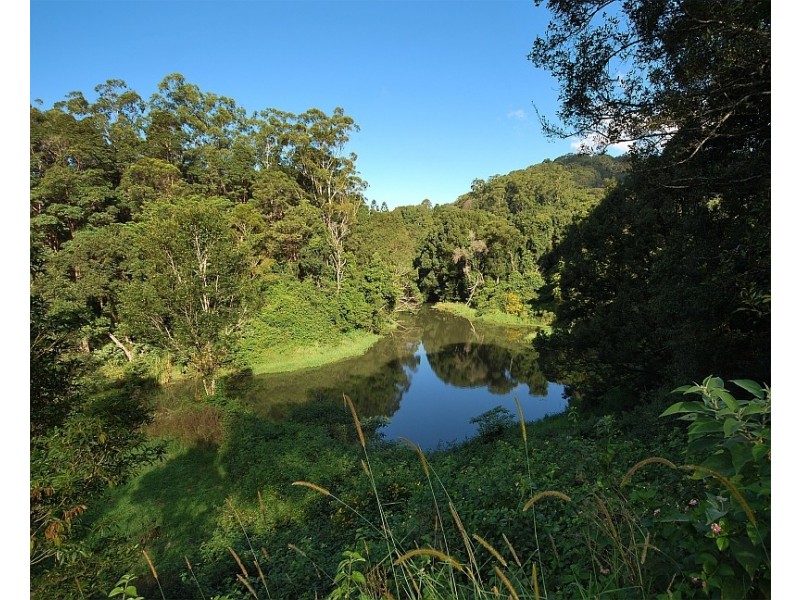 1 Parmenters Road, Wilsons Creek NSW 2482