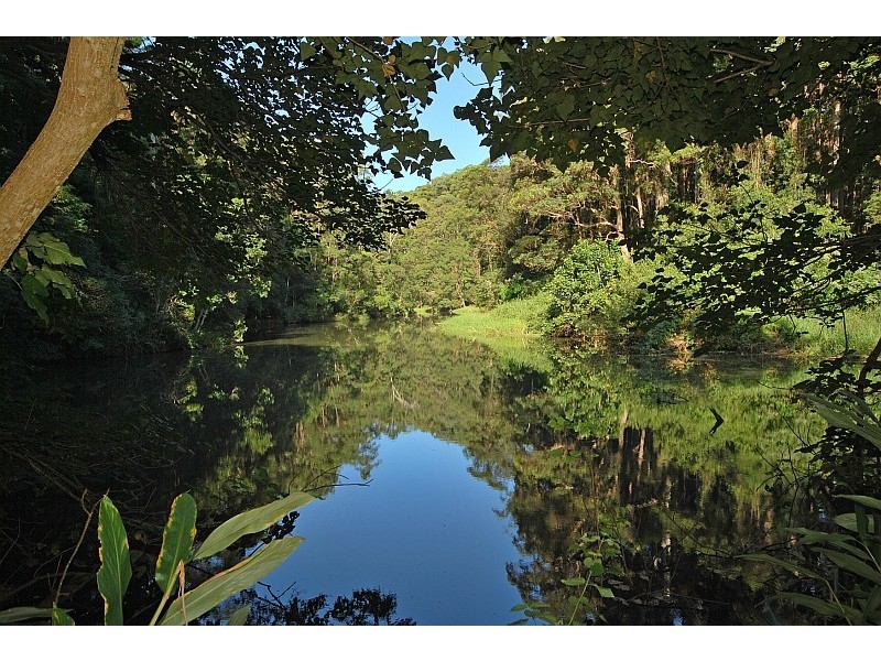 1 Parmenters Road, Wilsons Creek NSW 2482