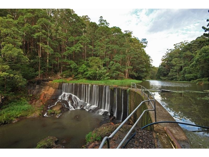 1 Parmenters Road, Wilsons Creek NSW 2482