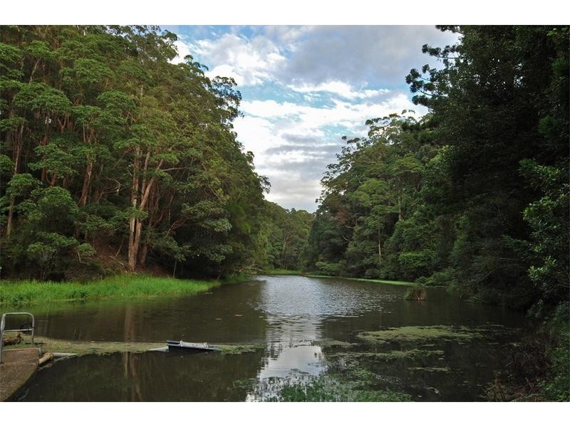 1 Parmenters Road, Wilsons Creek NSW 2482