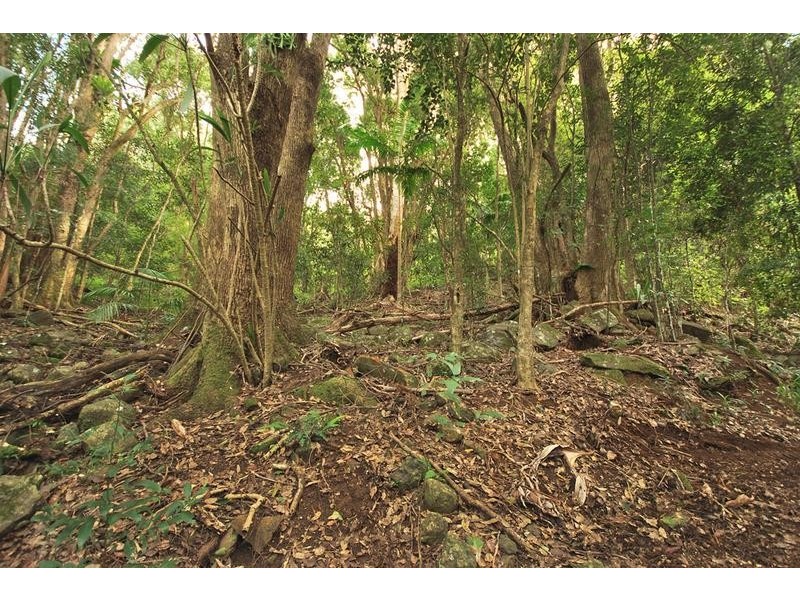 1 Parmenters Road, Wilsons Creek NSW 2482