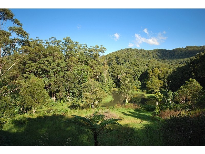1 Parmenters Road, Wilsons Creek NSW 2482