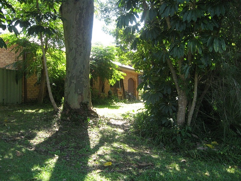 8 Palm Tree Crescent, Bangalow NSW 2479