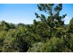 188 Balraith Lane, Ewingsdale NSW 2481