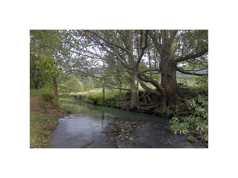 561 Left Bank Road, Mullumbimby NSW 2482