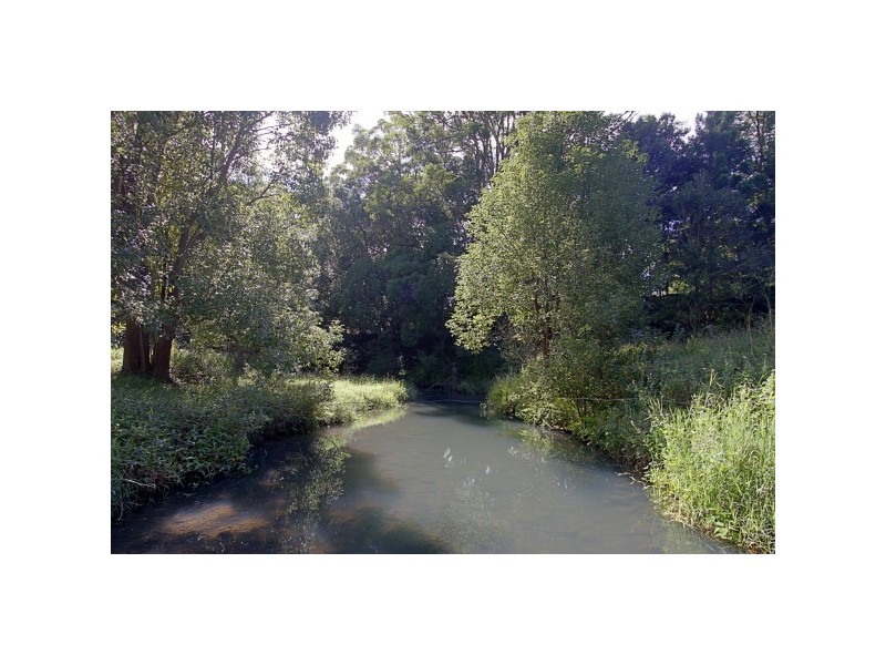 561 Left Bank Road, Mullumbimby NSW 2482