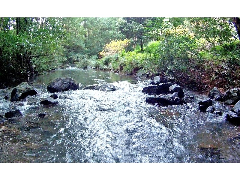 Lot 6,  Pine Mountain Road, Possum Creek NSW 2479