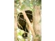 Lot 6,  Pine Mountain Road, Possum Creek NSW 2479