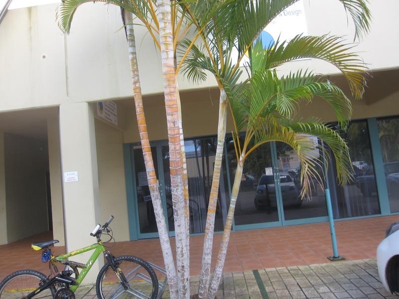 5A/130 Jonson Street, Byron Bay NSW 2481