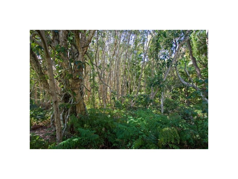 8 Sallywattle Drive, Suffolk Park NSW 2481