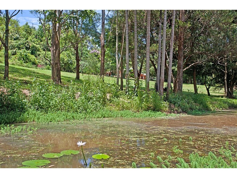 114 McGettigans Lane, Ewingsdale NSW 2481