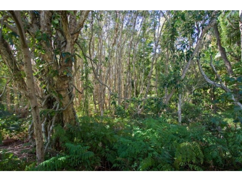 8 Sallywattle Drive, Suffolk Park NSW 2481