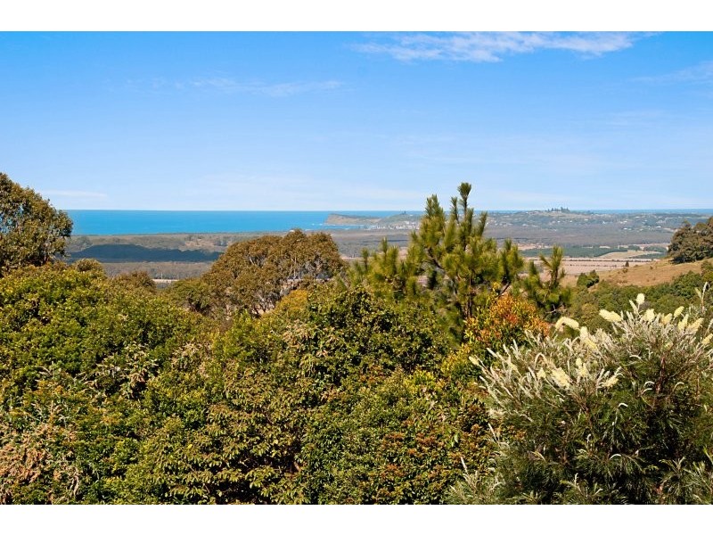 276 Picadilly Hill Road, Coopers Shoot NSW 2479