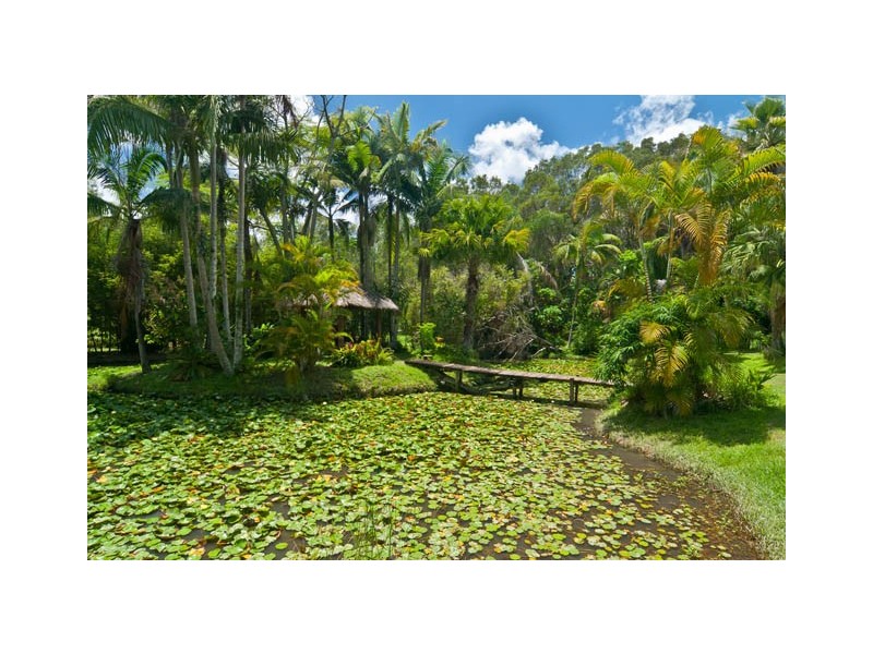 14 Melaleuca Drive, Mullumbimby NSW 2482