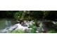 Lot 6,  Pine Mountain Road, Possum Creek NSW 2479