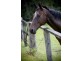Lot 6,  Pine Mountain Road, Possum Creek NSW 2479