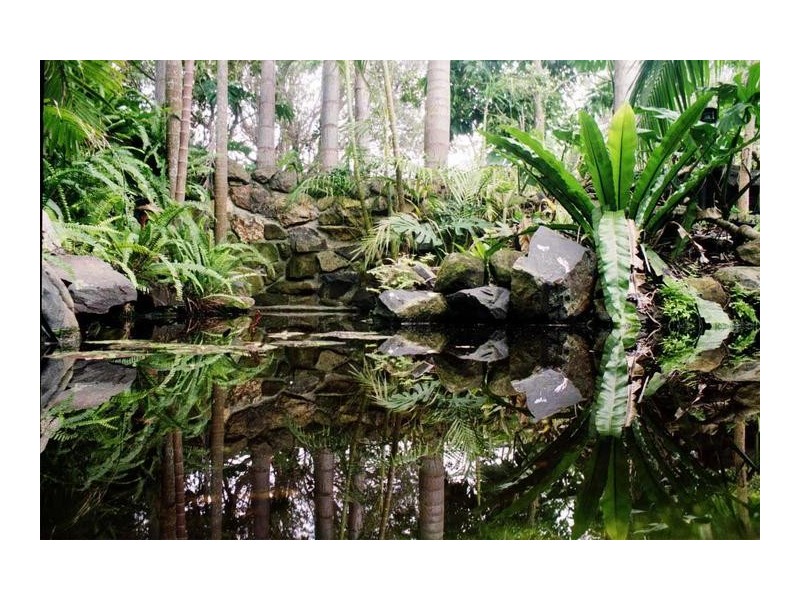 24 Cavanbah Street, Byron Bay NSW 2481