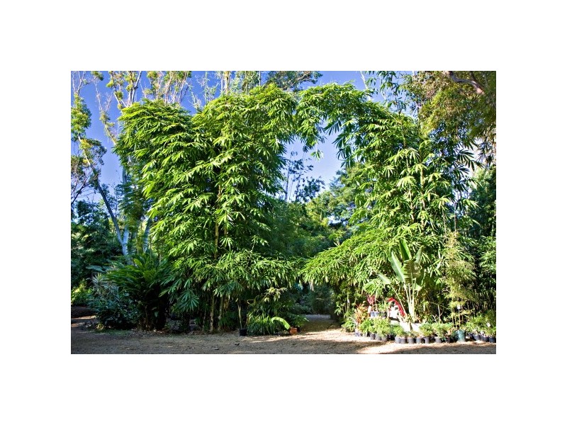 221 Kennedys Lane, Ewingsdale NSW 2481