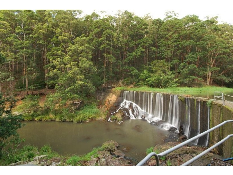 1 Parmenters Road, Wilsons Creek NSW 2482