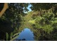 1 Parmenters Road, Wilsons Creek NSW 2482