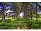 256 Midgen Flat Road, Newrybar NSW 2479