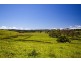 256 Midgen Flat Road, Newrybar NSW 2479