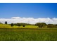 256 Midgen Flat Road, Newrybar NSW 2479
