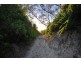 36 Beachcomber Drive, Byron Bay NSW 2481