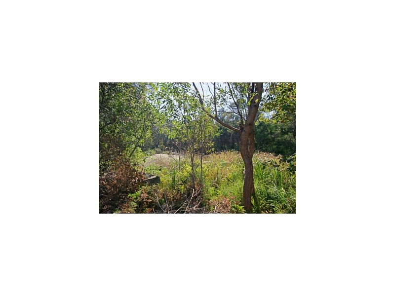 81 Sunrise Boulevarde, Byron Bay NSW 2481