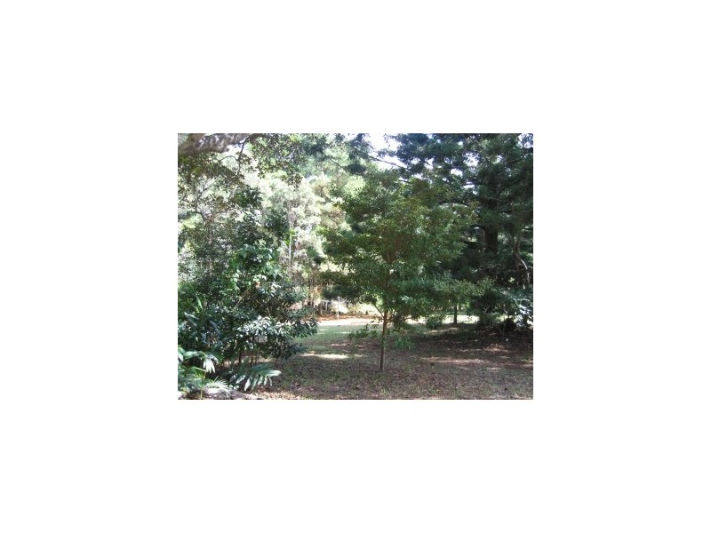 294 Skinners Shoot Road, Byron Bay NSW 2481